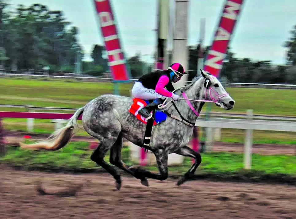 LE SOBRA JERARQUÍA. La tordilla Prohibition será una de las principales protagonistas de la reunión. 