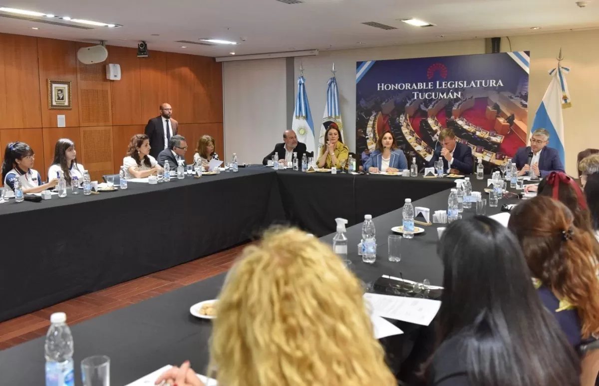 COMISIÓN DE EDUCACIÓN. La jaldista Graciela Gutiérrez presidió la reunión. Foto de Prensa HLT