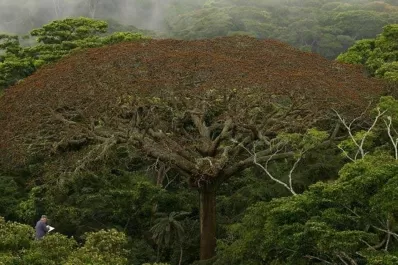 Qué hay para hacer este miércoles en Tucumán