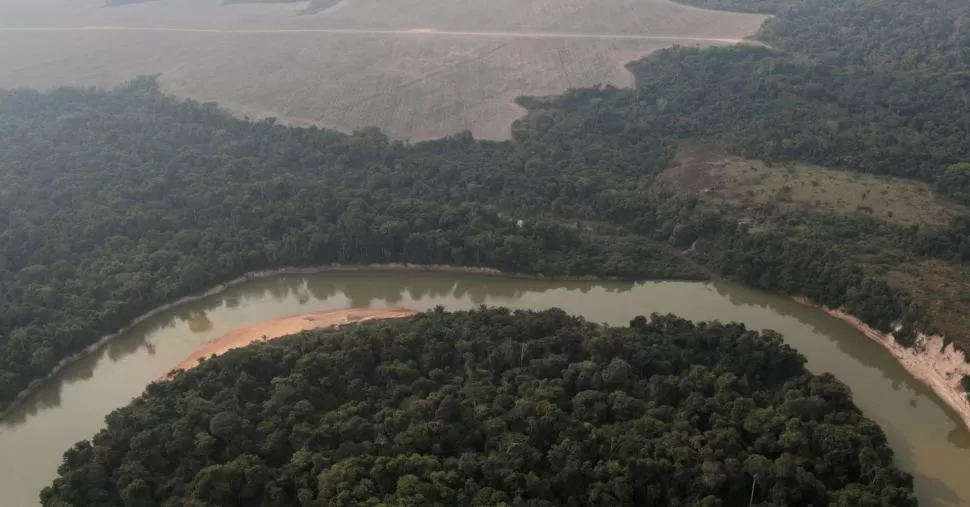 GIGANTE. El bosque tropical del Amazonas se extiende por ocho países.  