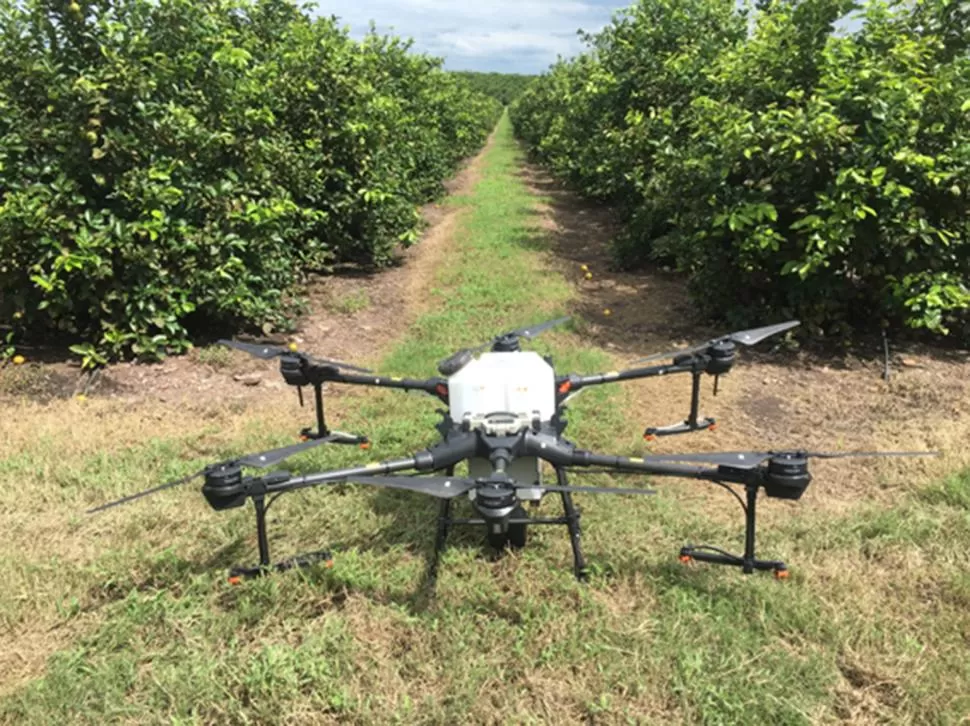 DRONES. Una de las tareas de mayor demanda es la aplicación de fitosanitarios de forma rápida y oportuna.  gentileza eeaoc 