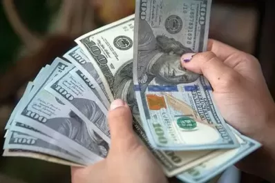El dólar blue trepó $14 en la semana y llegó hasta los $320