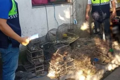 Tafí Viejo: rescataron más de 20 aves que estaban en cautiverio