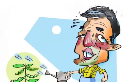 Massa sigue regando a la soja para apuntalar las reservas