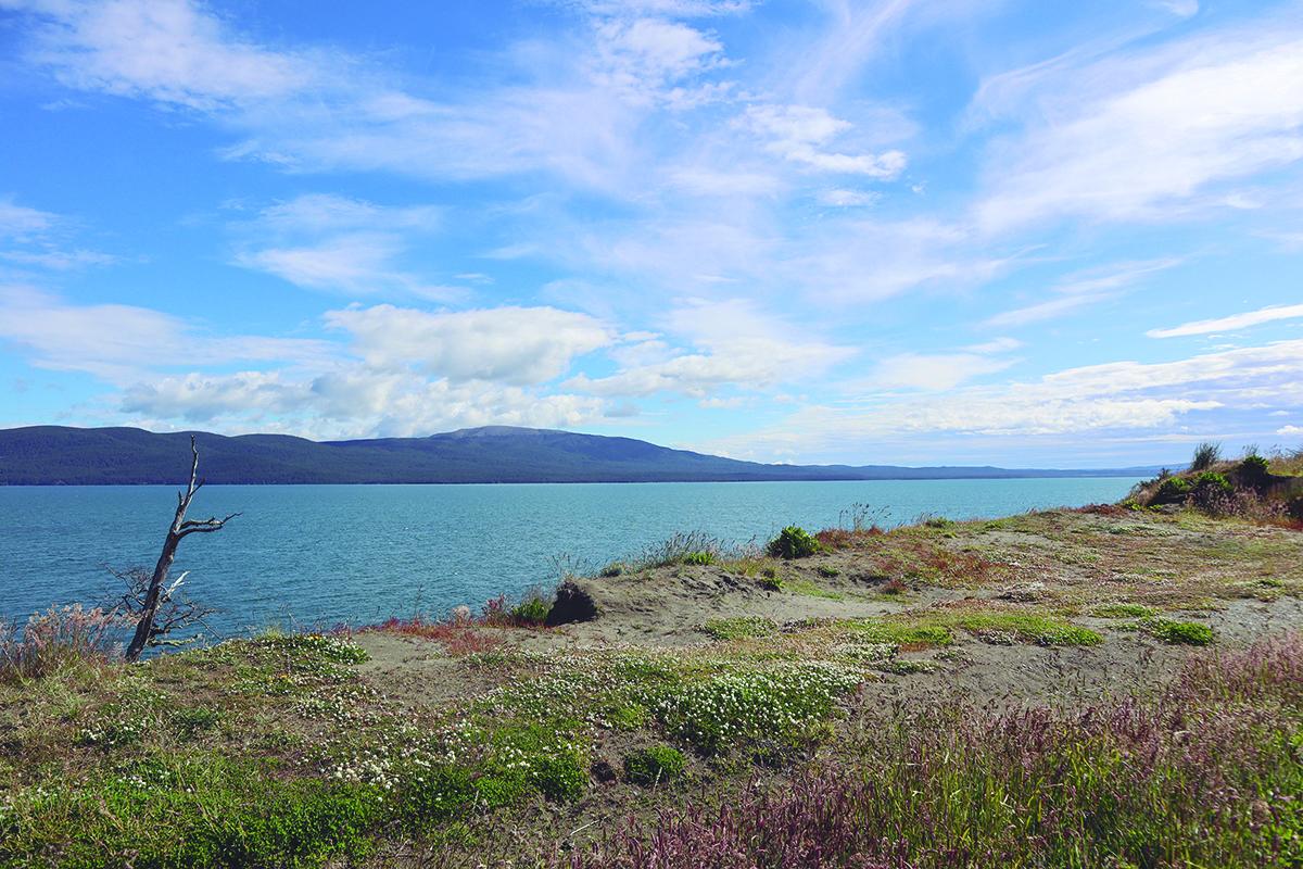 Vacaciones: tres imperdibles de Tierra del Fuego