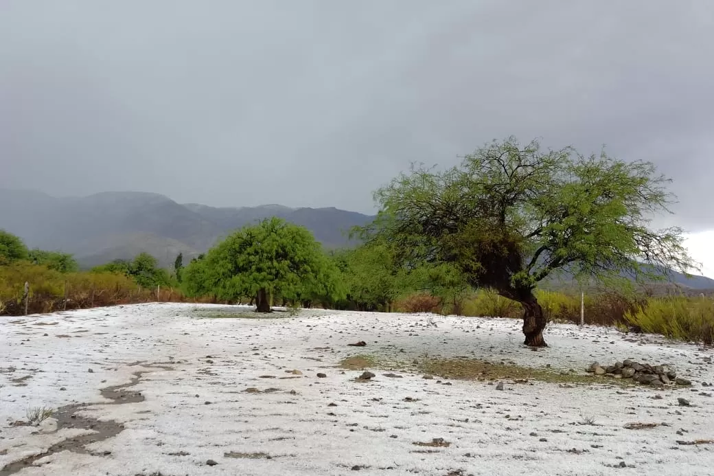 Una tremenda granizada sorprendió a Amaicha del Valle