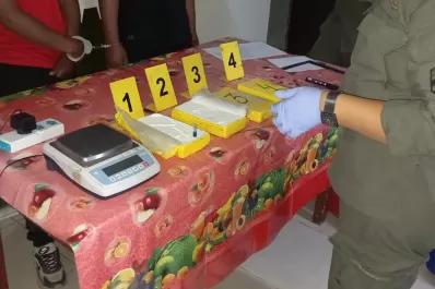 Gendarmería secuestró más de 4 kilos de cocaína en Tucumán