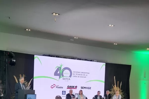 Técnicos evalúan la “energía verde” de la caña