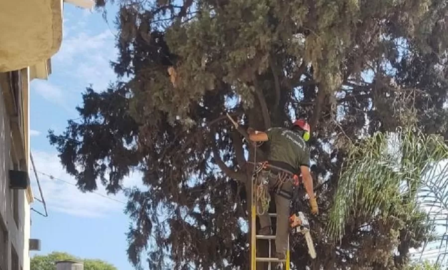 Realizan talas preventivas, en Tucumán