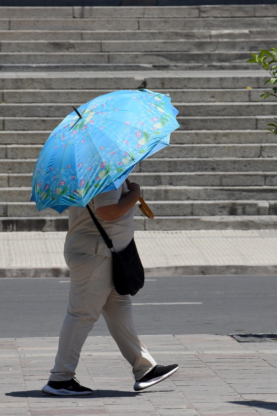 NO ES SOLO PARA LA LLUVIA. Una buena sombrilla, muy al tono en este caso con sus flores, da sombra mientras se transita bajo el inclemente sol.   