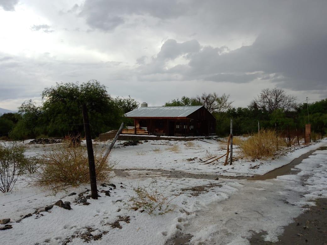 Una tremenda granizada sorprendió a Amaicha del Valle