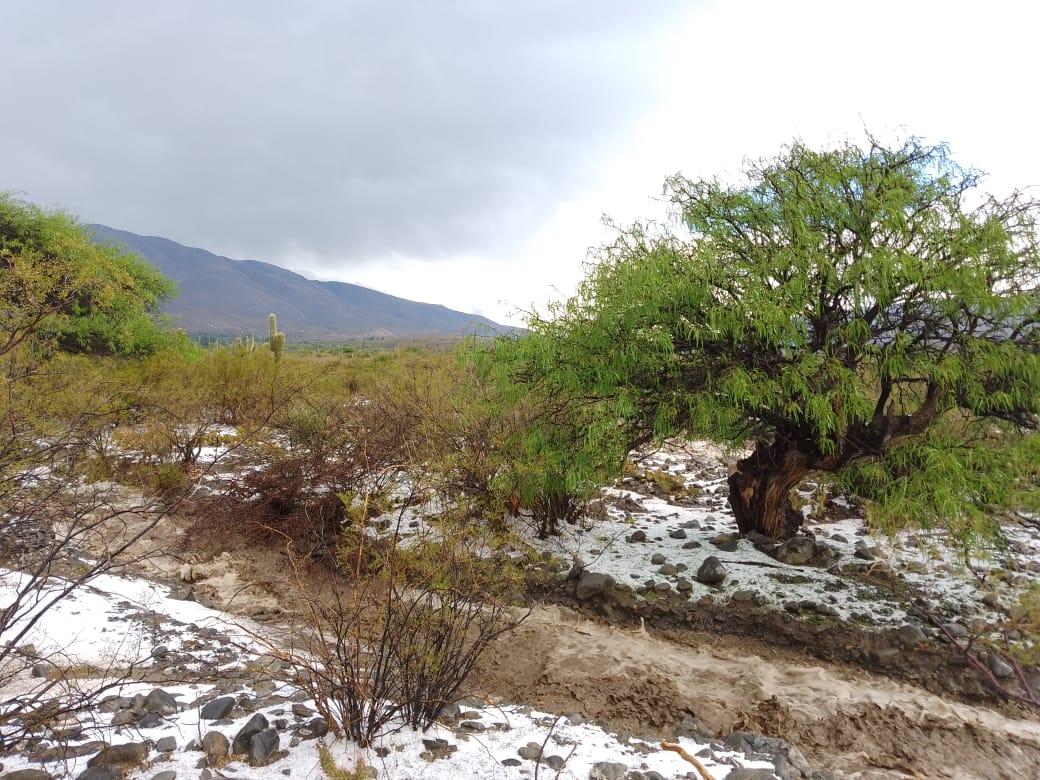 Una tremenda granizada sorprendió a Amaicha del Valle