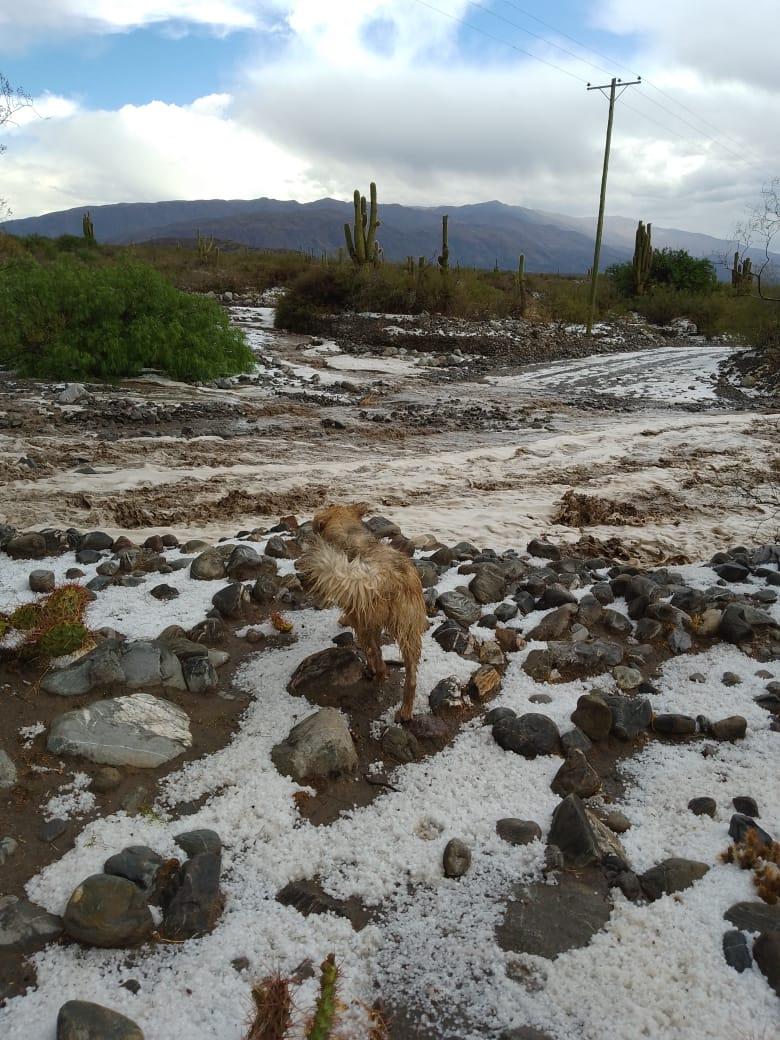 Una tremenda granizada sorprendió a Amaicha del Valle