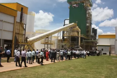 Tragedia en Brasil: trabajadora cayó en una máquina trituradora de papas