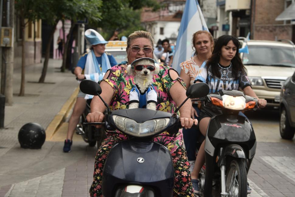 MASCOTAS. Los perros, vestidos con los colores de la Selección.