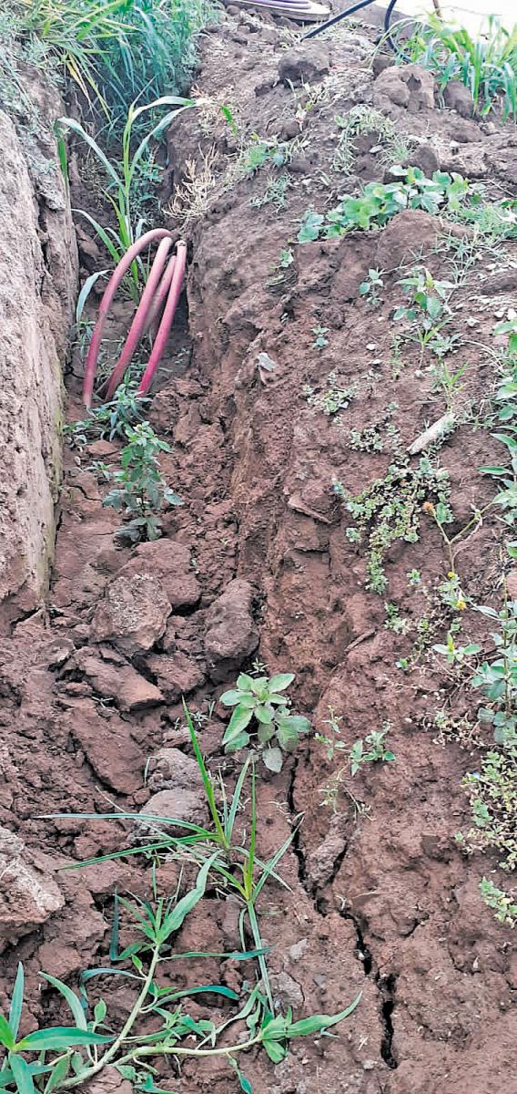 LA ZANJA PARA LOS CABLES. Allí se encontraron restos. 