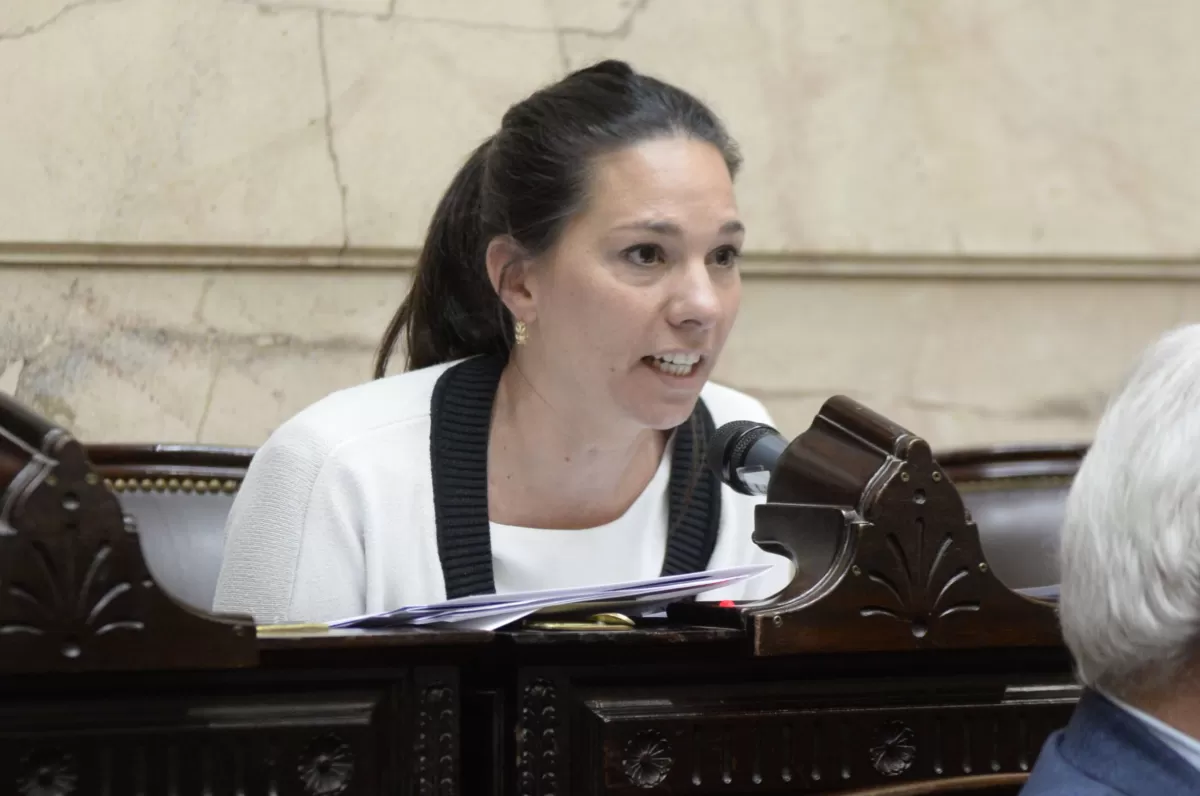 EN LA BANCA. La diputada Paula Omodeo, aliada al espacio Juntos por el Cambio. 