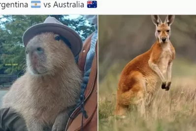 Mundial de Qatar: los mejores memes del choque entre Argentina y Australia