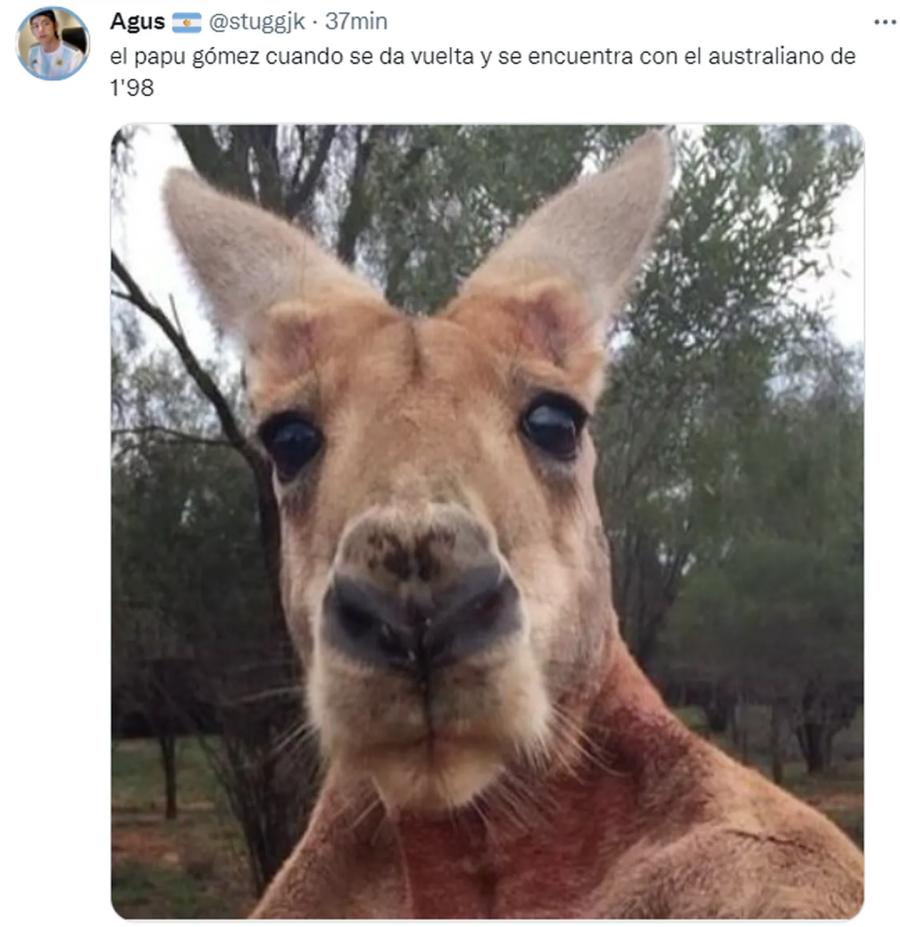 Mundial de Qatar: los mejores memes del choque entre Argentina y Australia