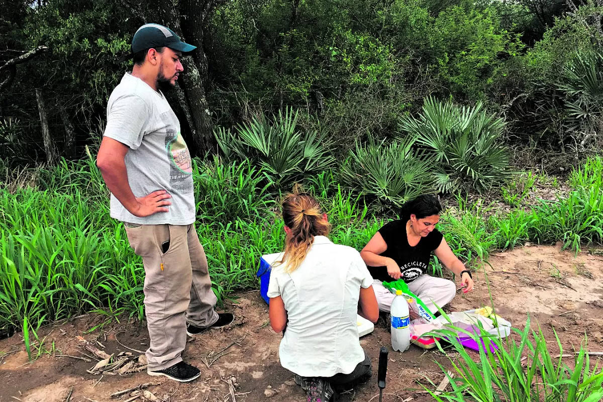 CAMPO. El escenario de trabajo de Natacha Chacoff es siempre la naturaleza; sobre todo los campos de cultivo.