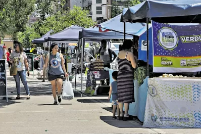 Ferias y mascotas: propuestas acotadas por los feriados de esta semana
