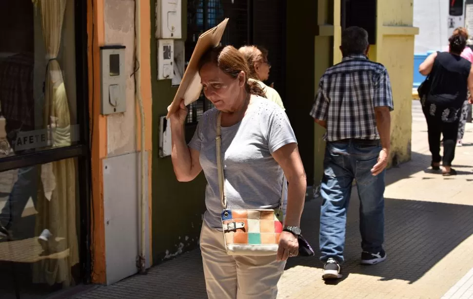 TODO VALE. Hasta la mínima cobertura que puede proporcionar una carpeta sirve para atajarse de los rayos del sol, como lo hizo esta mujer en el centro.