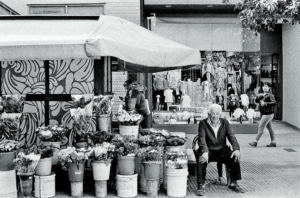 HABITANTE DEL CENTRO. Un florista espera clientes y lo retrata Gonzalo Andretta. 