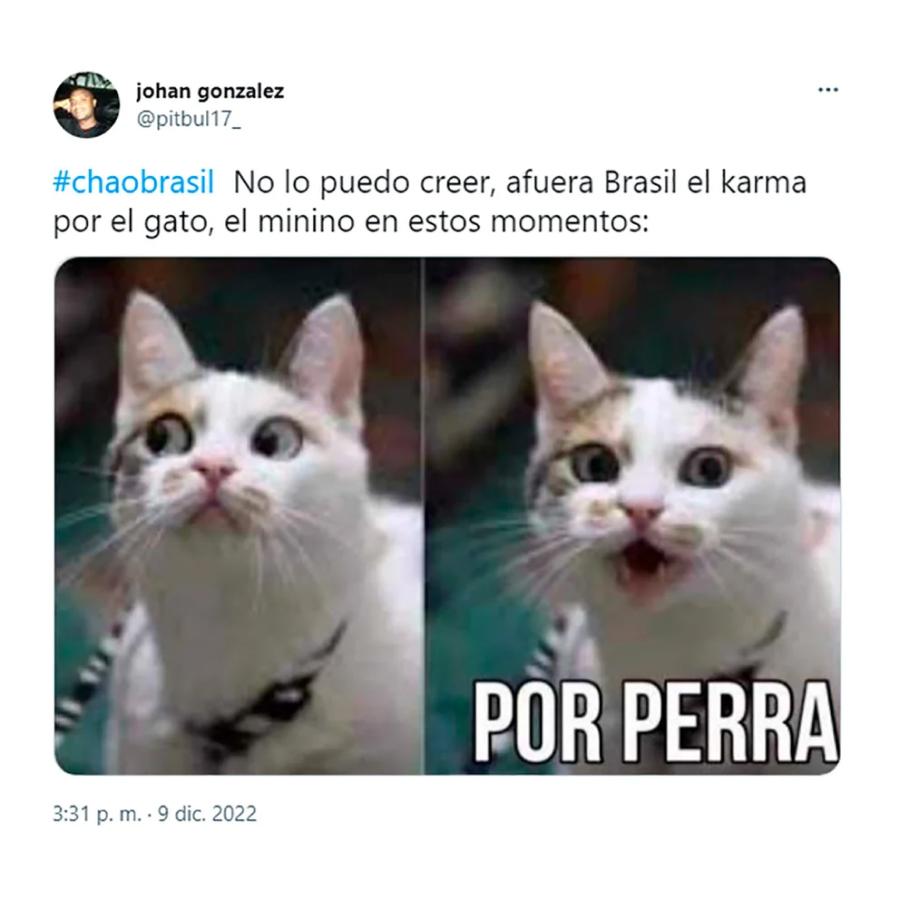 Mundial de Qatar: los mejores memes de la eliminación de Brasil