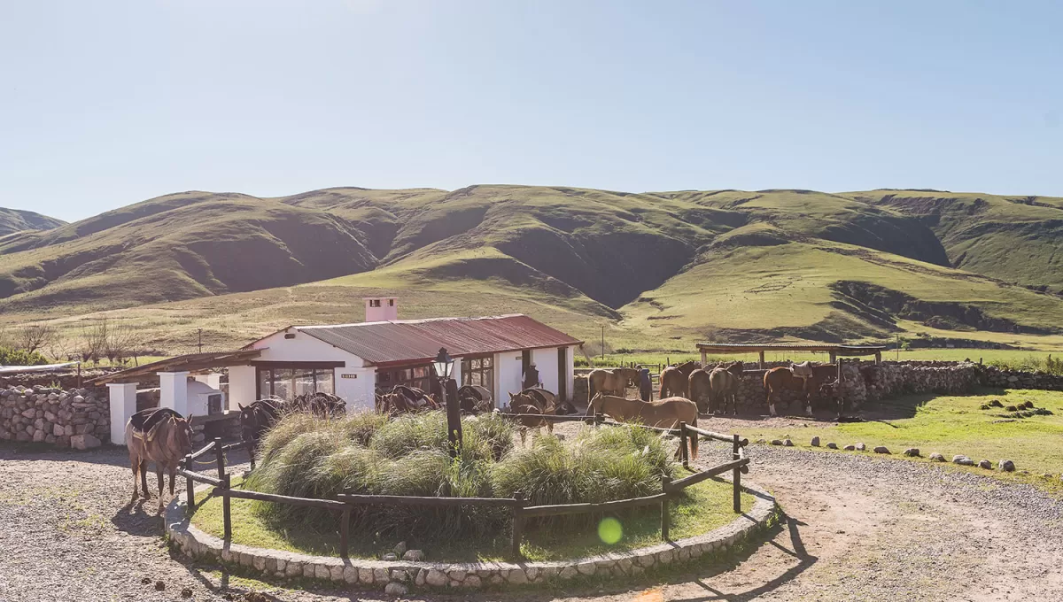 Estancia Las Carreras: cuando se experimenta la tradición