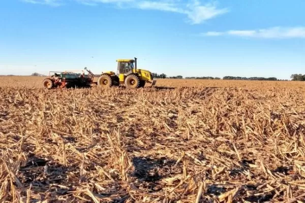 No cabe subestimar el cuidado del suelo