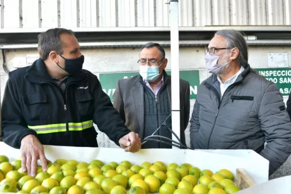 El Senasa lideró un importante mitin sobre cuestiones del citrus