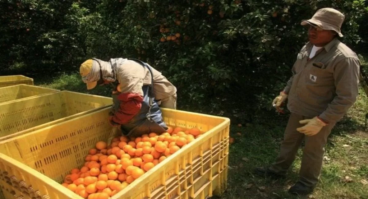 Foto tomada de: laizquierdadiario.com.ar