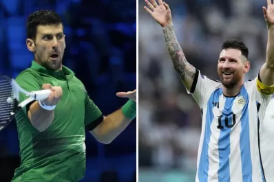 Mundial de Qatar 2022: la sentida felicitación de Novak Djokovic a Messi y la Selección en Instagram