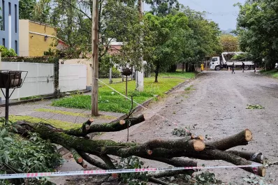 En Yerba Buena cayeron 18 árboles y postes de luz durante la tormenta