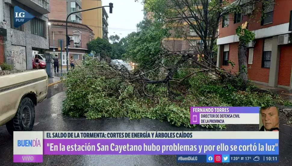 SIN VÍCTIMAS. En Laprida y Marcos Paz la caída de un arbol frenó la circulación vehicular durante unas horas. 