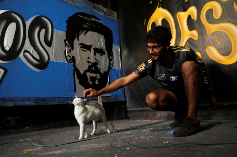 TERNURA. Un fanático acaricia a un de los tantos gatos callejeros.