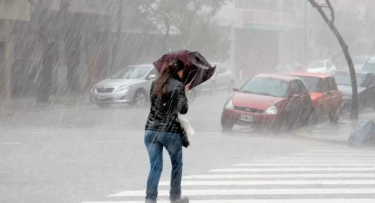 Consecuencias del temporal: voladuras de techos y caídas de árboles