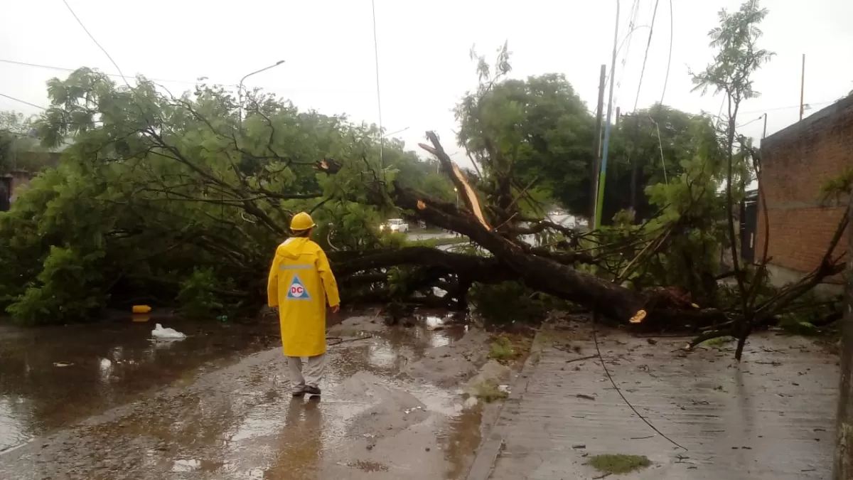Av Fco de Aguirre y 25 de Mayo. Foto @lape_ariel