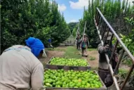 Economías regionales: urgen cambios profundos