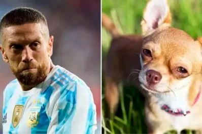 Desopilante: mirá el hilo de Twitter comparó a los jugadores de la Selección con perros de raza