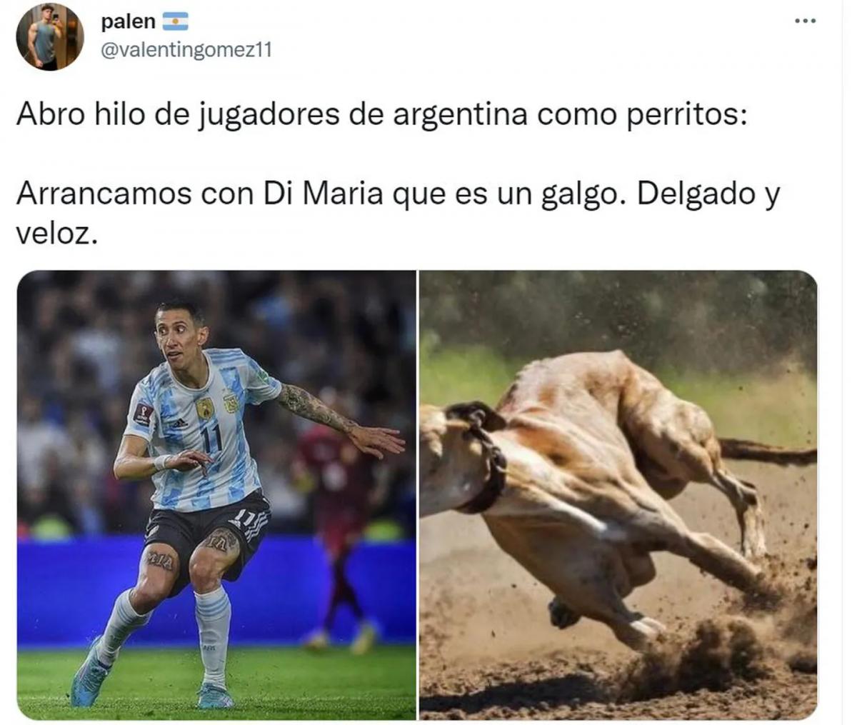 Desopilante: mirá el hilo de Twitter comparó a los jugadores de la Selección con perros de raza