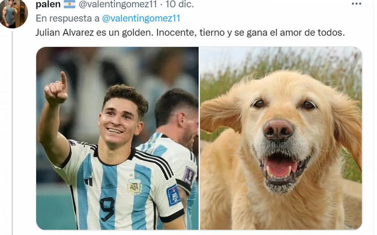 Desopilante: mirá el hilo de Twitter comparó a los jugadores de la Selección con perros de raza