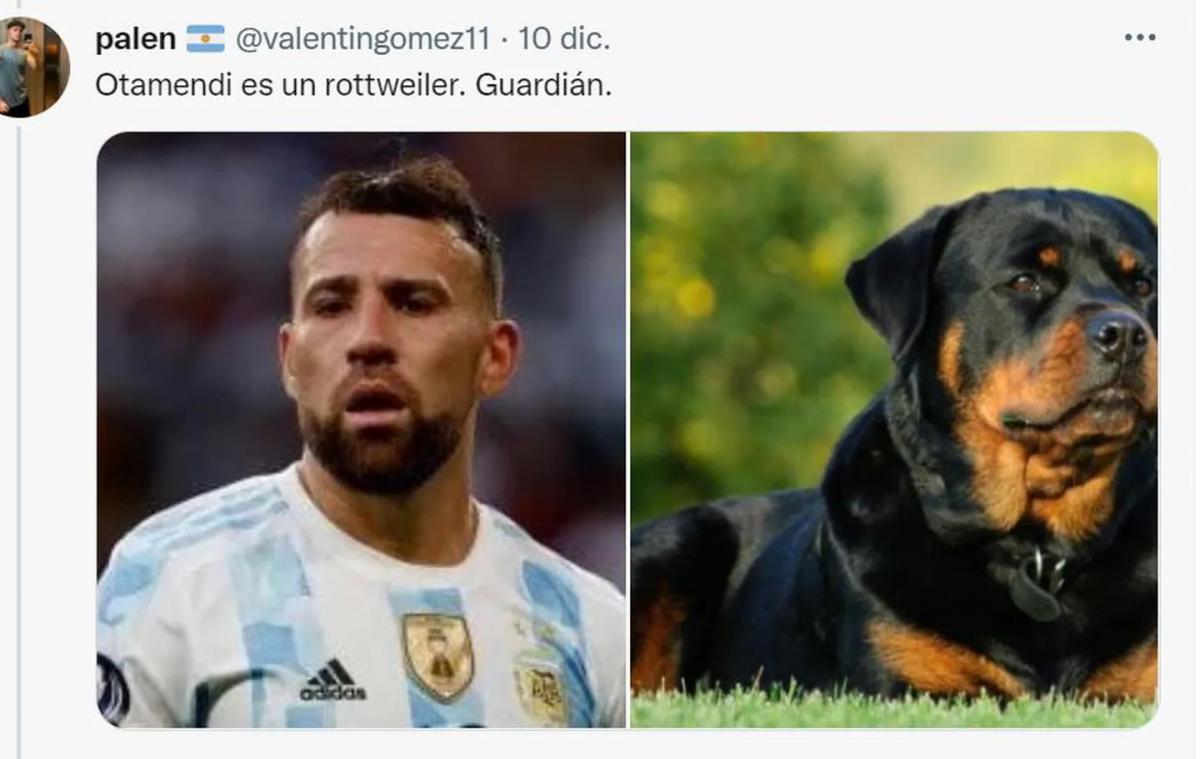 Desopilante: mirá el hilo de Twitter comparó a los jugadores de la Selección con perros de raza