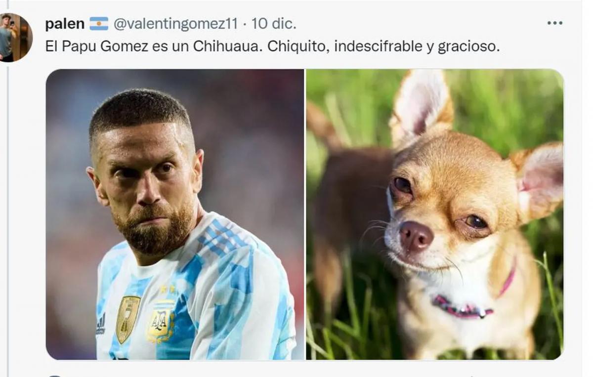 Desopilante: mirá el hilo de Twitter comparó a los jugadores de la Selección con perros de raza