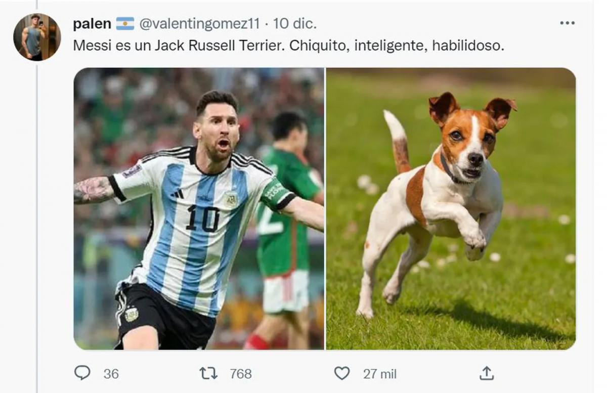 Desopilante: mirá el hilo de Twitter comparó a los jugadores de la Selección con perros de raza