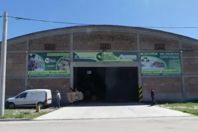 Concepción triplicó la recolección de residuos para reciclado