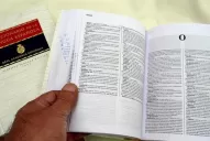 Se suman conspiranoico y micromachismo al diccionario de la RAE