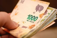 Anses: ¿cómo puedo saber si cobro el bono de $24.000?