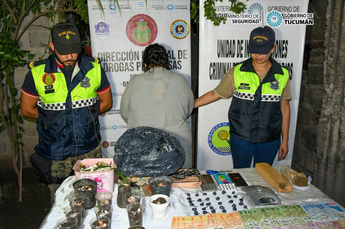 Narcomenudeo: secuestraron marihuana en Bella Vista y una mujer quedó detenida