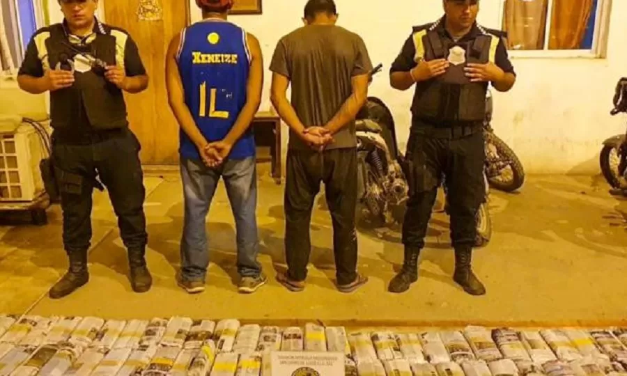 Interceptaron un cargamento ilegal de hojas de coca